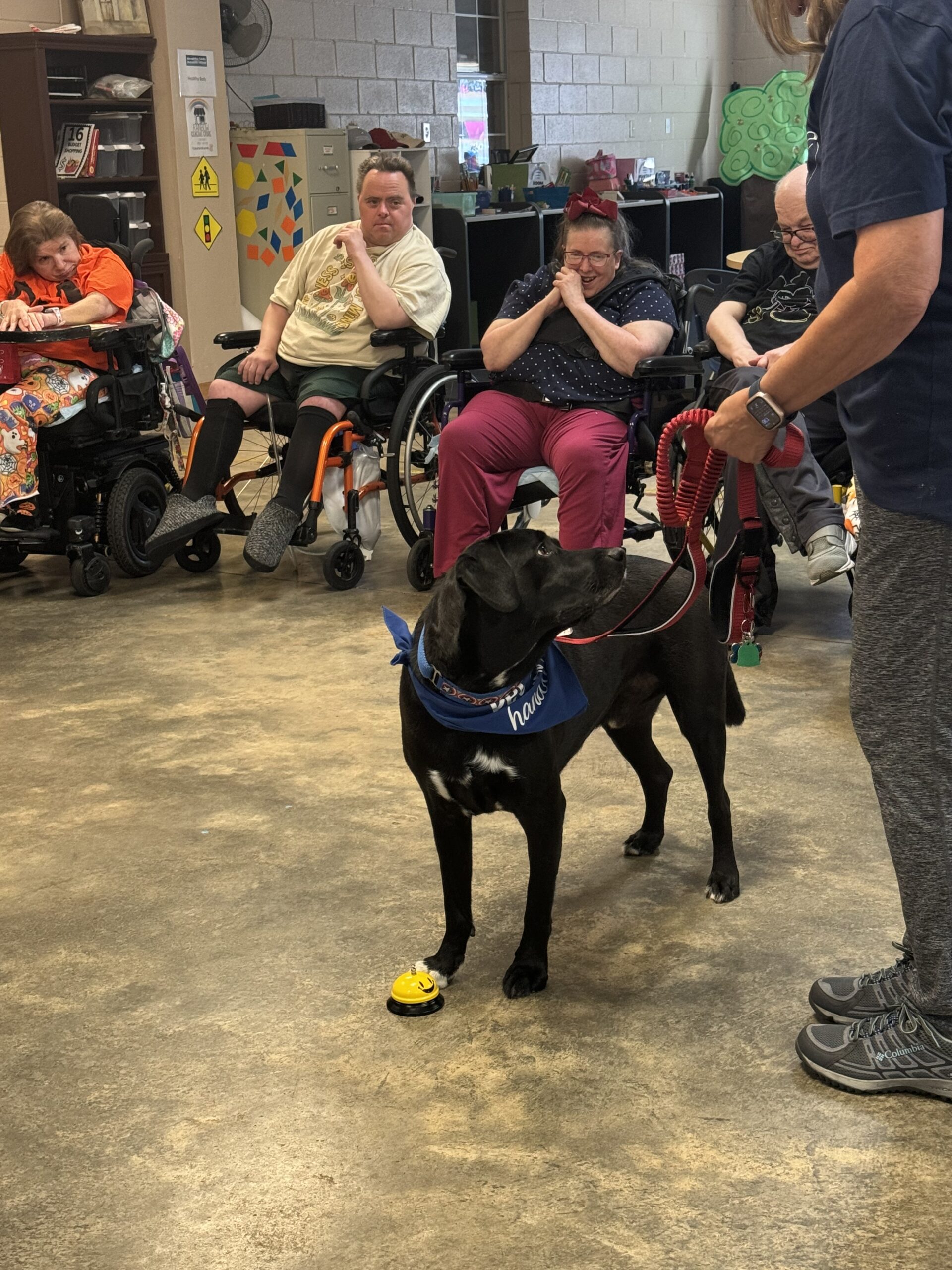 A Visit from Gus & Vicky of Alliance Therapy Dogs