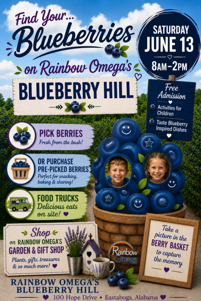 Blueberry Picking Day on Blueberry Hill
